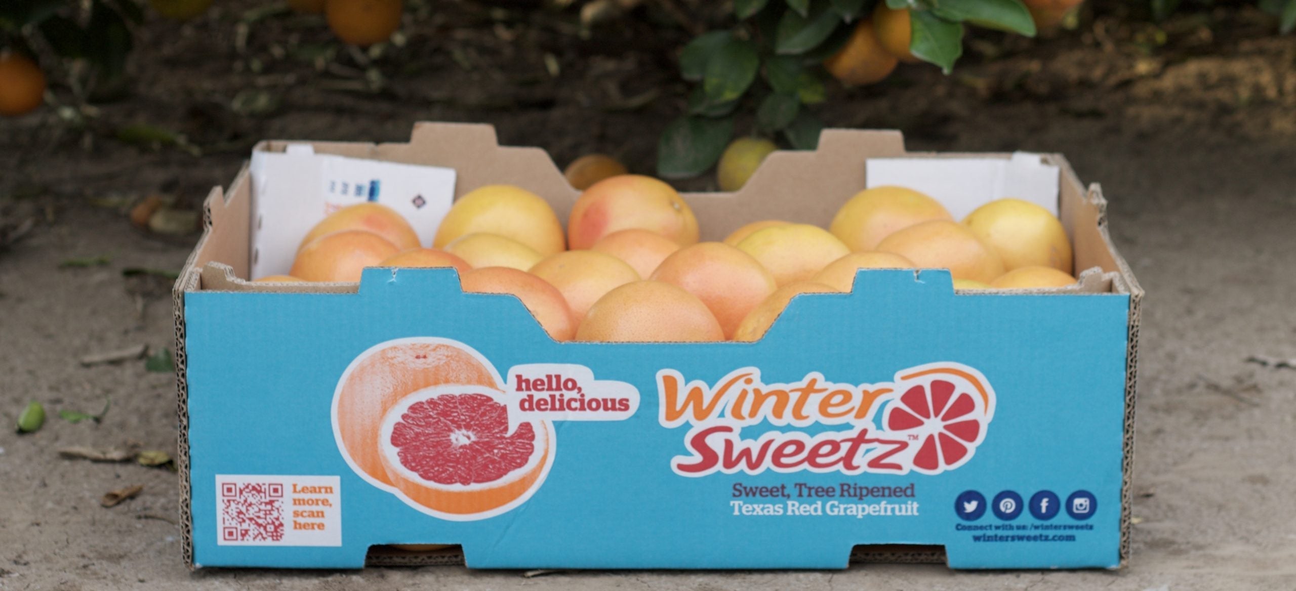 WinterSweetz Home