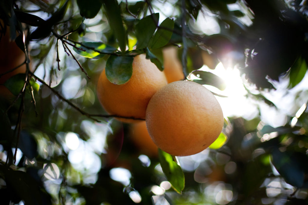 For the Winter Sweetz Family, Off Season Doesn’t Mean Time Off