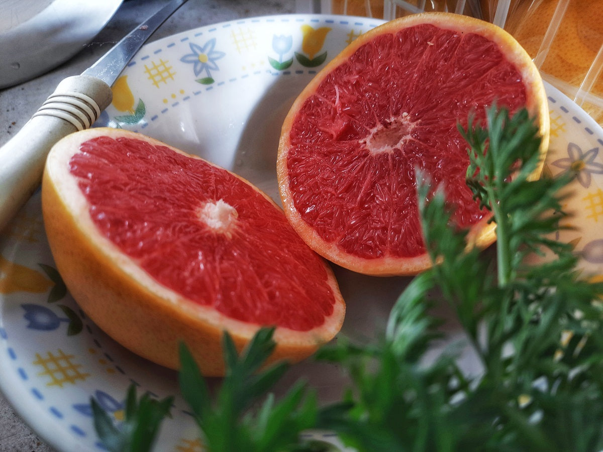Texas Red Grapefruits sliced