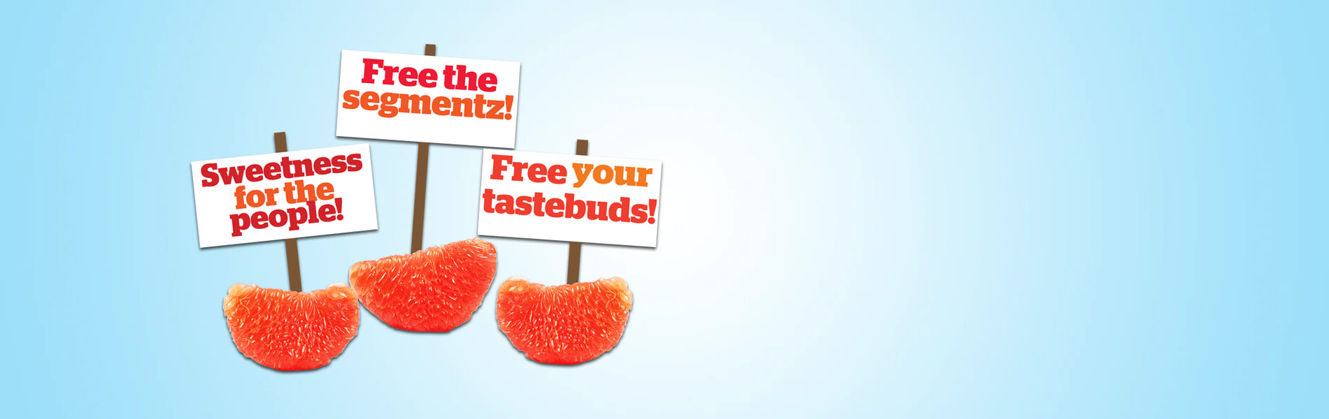 Texas Rio Red Grapefruit Growers and Packers – Winter Sweetz